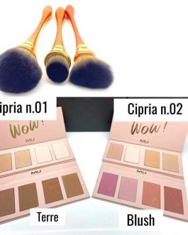 Kit palette a scelta + pennello prezzo bomba 💣💣💣💣