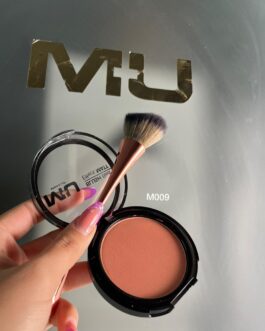 Kit blush effect matt + pennello blush