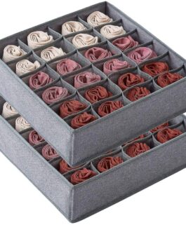 Organizzer