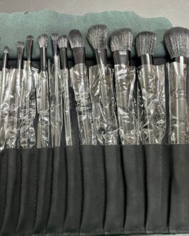 SET 14 PENNELLI CON ASTUCCIO