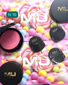 BLUSH COMPATTO con specchio    + PENNELLO      promo fino 4/01/2024