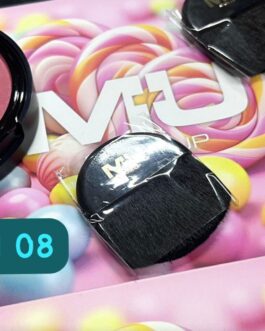 BLUSH COMPATTO con specchio    + PENNELLO      promo fino 4/01/2024