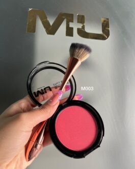 KIT BLUSH + PENNELLO MU MAKE UP
